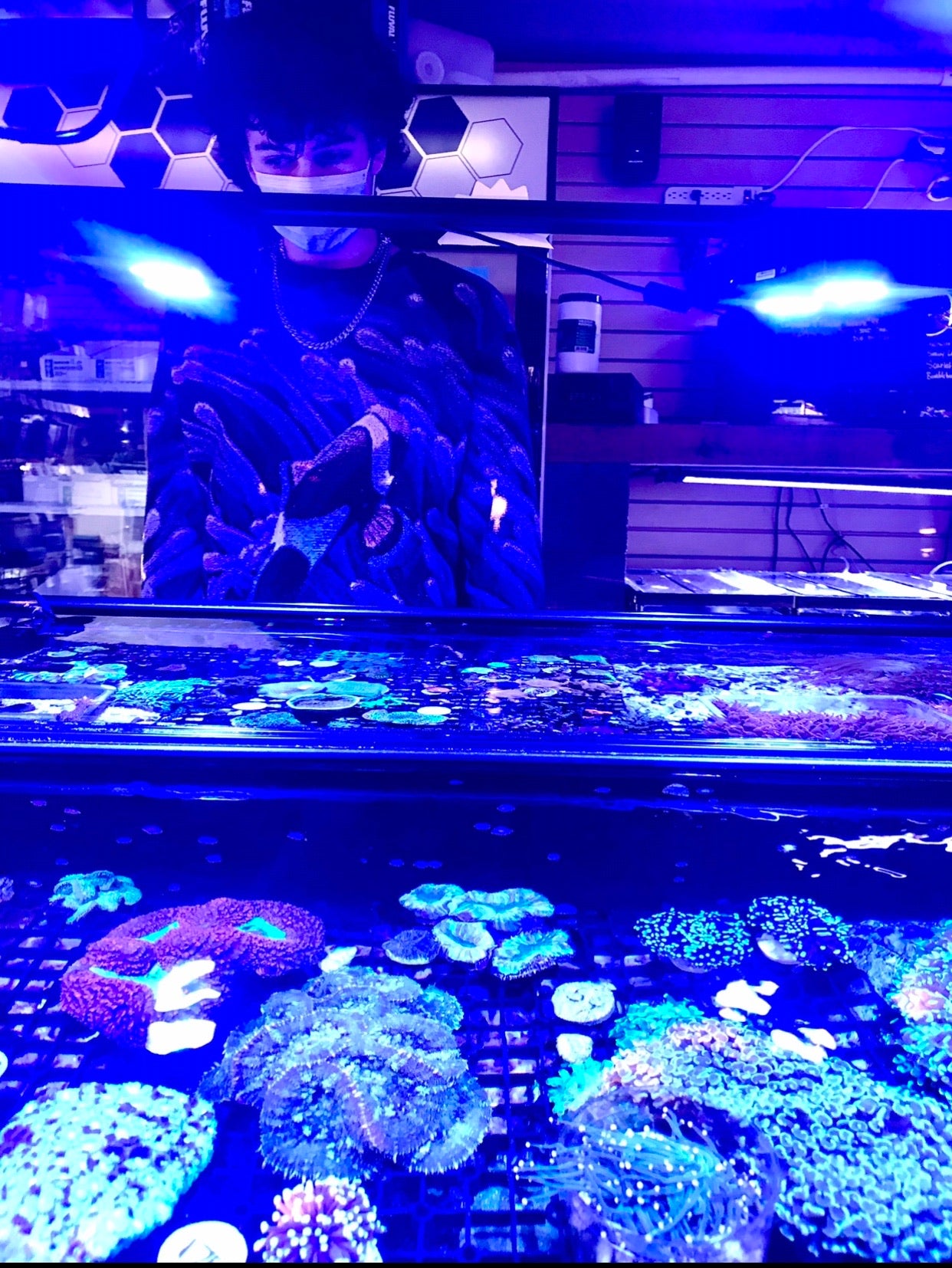 “NEMO”