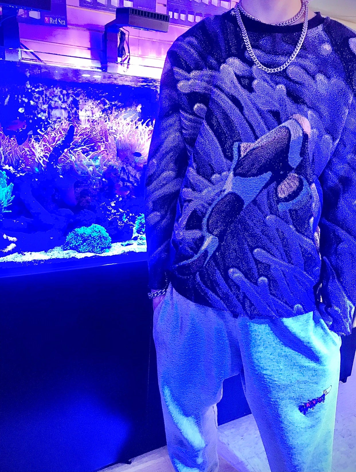 “NEMO”